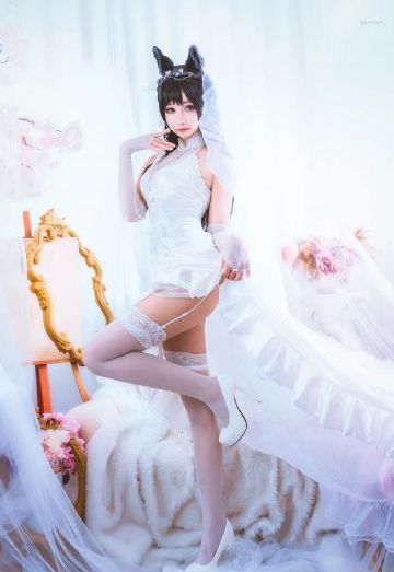 与鸭共舞