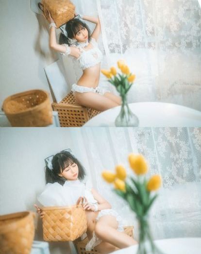 三分野电视连续剧免费播放