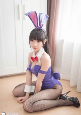 功夫小蝇免费完整版
