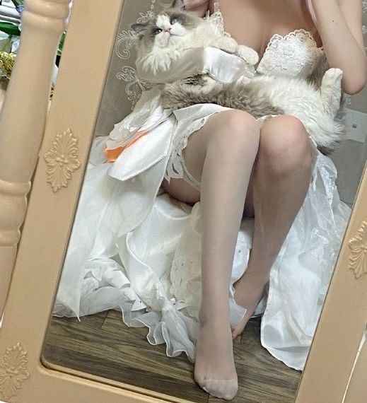 电视剧《宫》