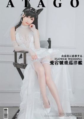 火爆社区向日葵