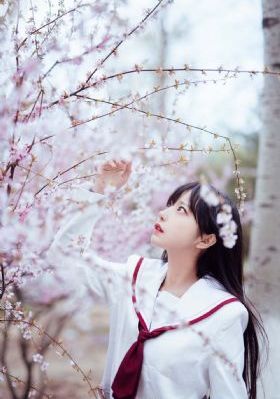 手机免费电影